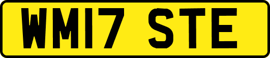 WM17STE