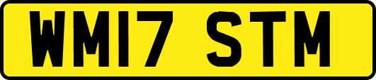WM17STM
