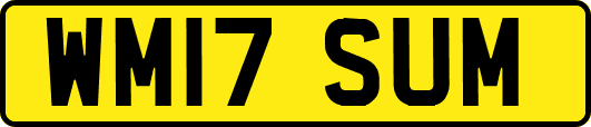 WM17SUM