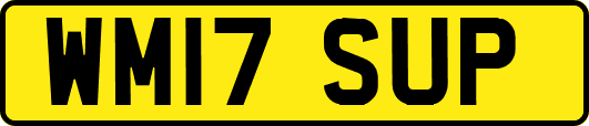 WM17SUP