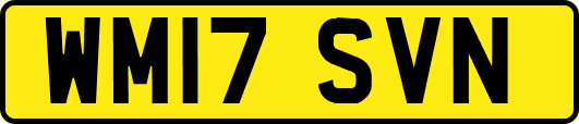 WM17SVN
