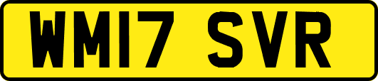 WM17SVR