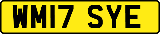 WM17SYE