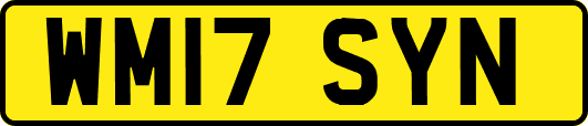 WM17SYN