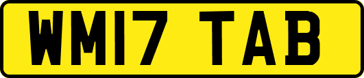 WM17TAB