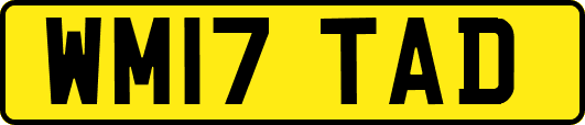 WM17TAD