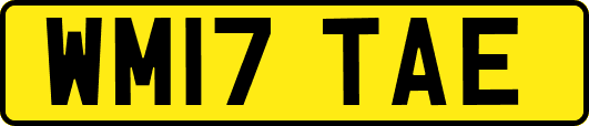 WM17TAE