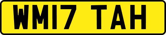 WM17TAH