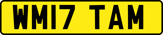 WM17TAM