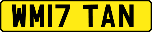 WM17TAN
