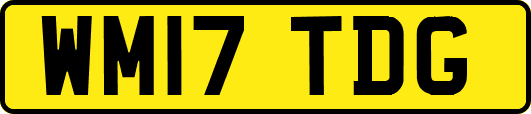 WM17TDG