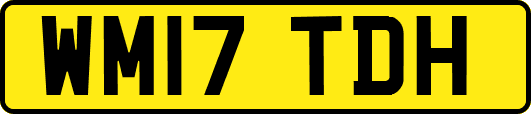WM17TDH