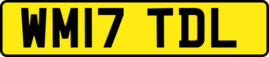WM17TDL
