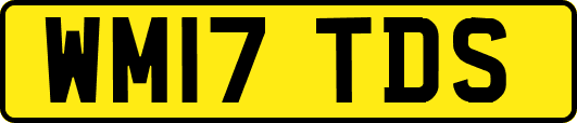 WM17TDS