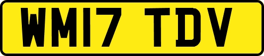 WM17TDV