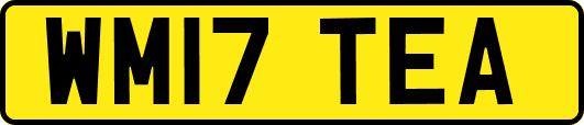 WM17TEA