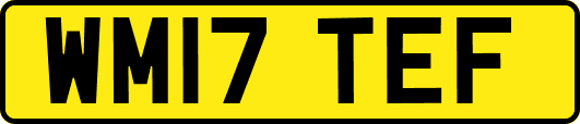 WM17TEF