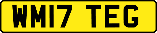 WM17TEG