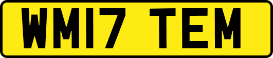 WM17TEM