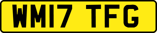 WM17TFG