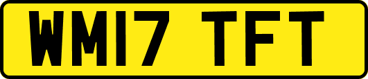 WM17TFT