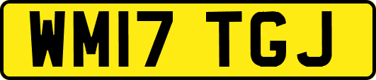 WM17TGJ