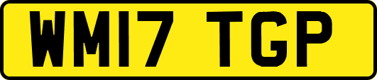 WM17TGP