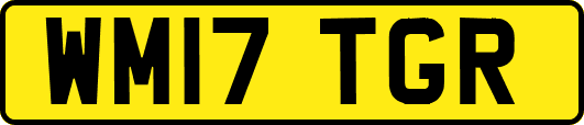 WM17TGR