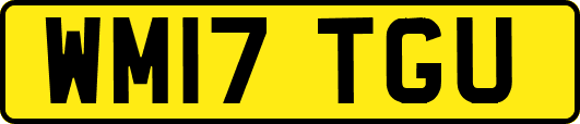 WM17TGU
