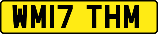 WM17THM
