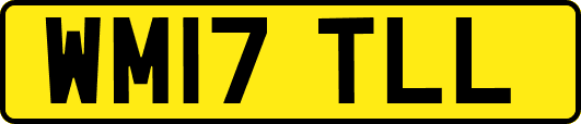 WM17TLL