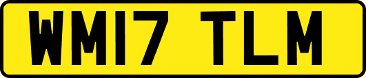 WM17TLM