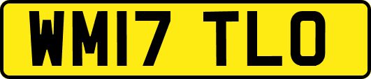 WM17TLO