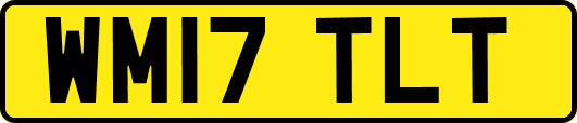 WM17TLT