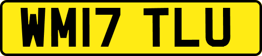 WM17TLU