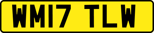 WM17TLW