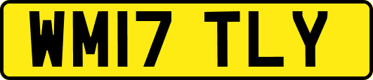 WM17TLY