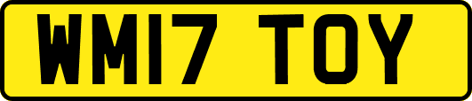 WM17TOY