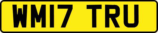 WM17TRU