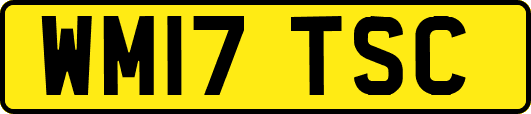 WM17TSC