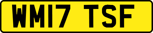 WM17TSF