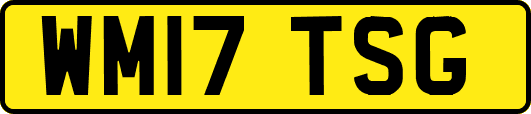 WM17TSG
