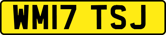 WM17TSJ