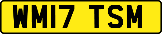 WM17TSM