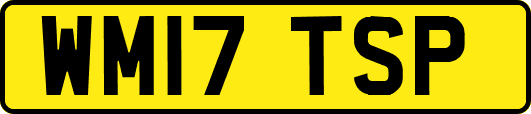 WM17TSP