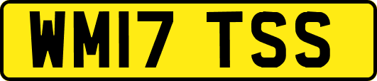 WM17TSS