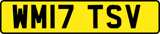 WM17TSV
