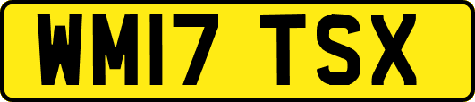 WM17TSX