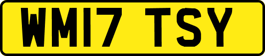 WM17TSY