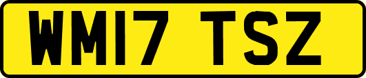 WM17TSZ